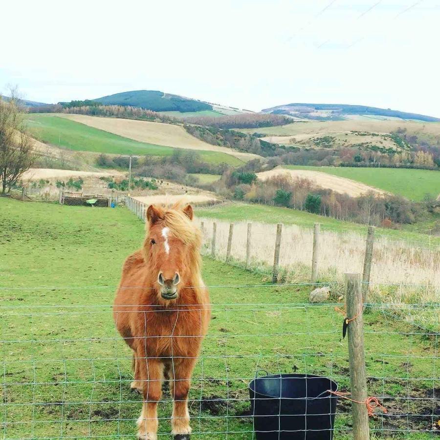 Lettoch Farm Holiday Home Dufftown Exteriör bild